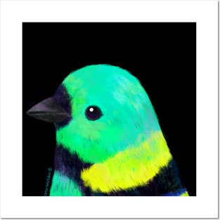 Green Headed Tanager Bird Posters and Art